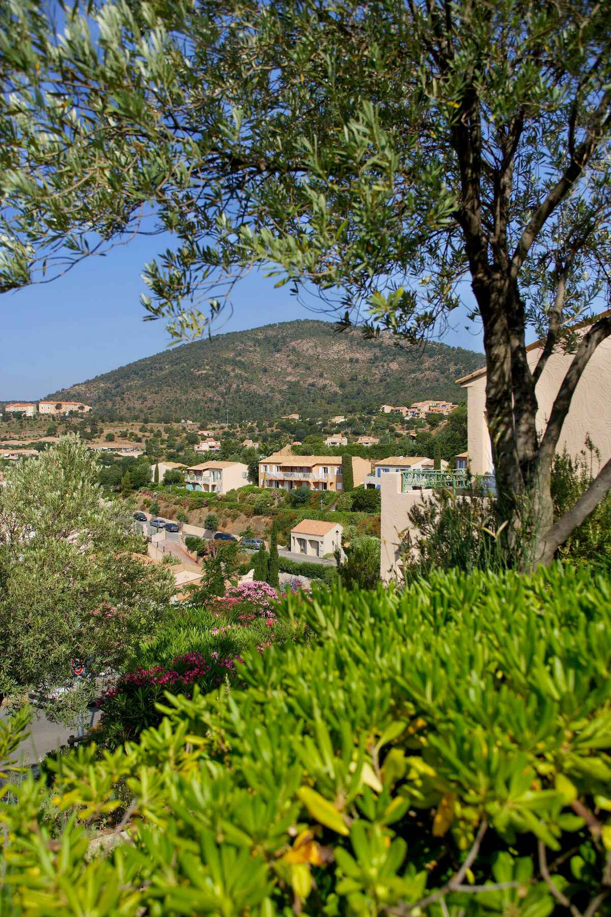 Residence Pierre & Vacances Les Terrasses Des Issambres Les Issambres Exterior foto